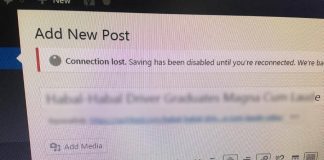 wordpress connection lost
